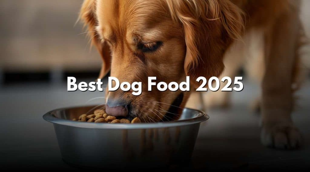 Best Dog Food 2025