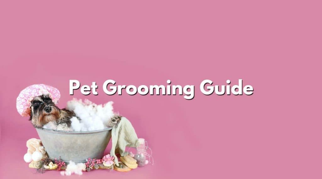 Pet Grooming Guide