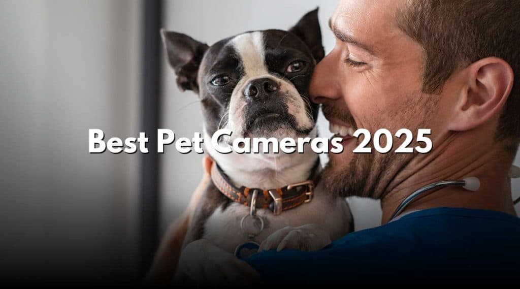Best Pet Cameras 2025