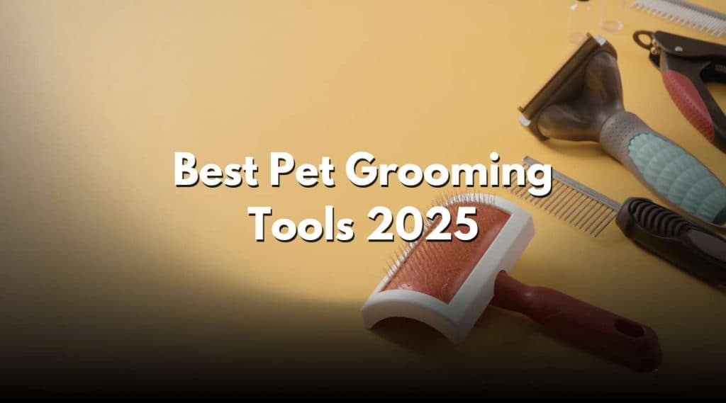 Best Pet Grooming Tools 2025: Top Picks to Pamper Pets